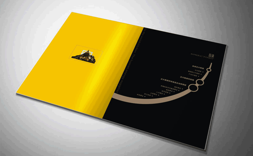 宣傳冊(cè)資料AI四折頁三折頁印刷