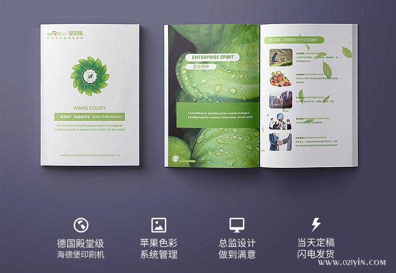 企業(yè)畫冊(cè)印刷  第2張