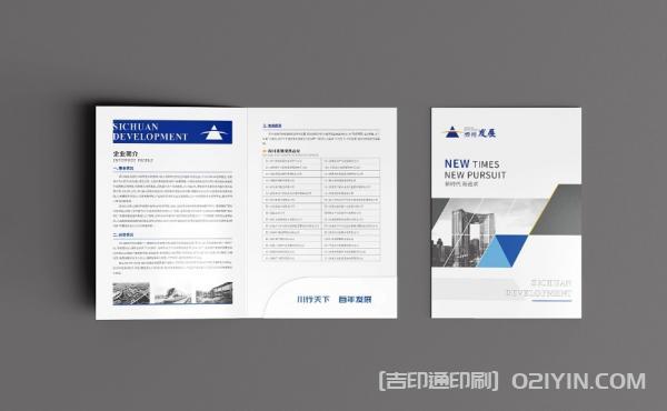 企業(yè)發(fā)展封套設(shè)計(jì)印刷  第3張