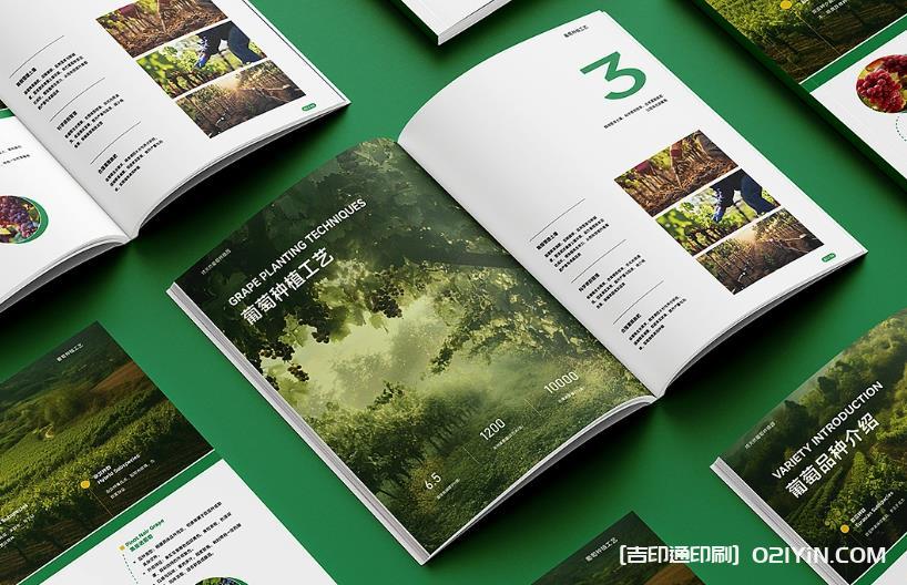 上海企業(yè)畫(huà)冊(cè)印刷專家：從設(shè)計(jì)到成品，一站式品質(zhì)服務(wù)