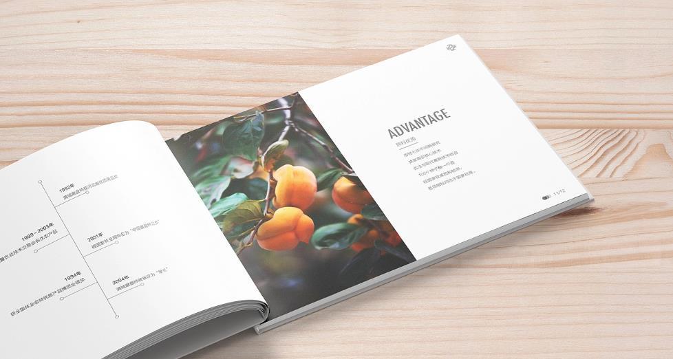 上海黃浦區(qū)畫冊(cè)印刷的設(shè)計(jì)需求有哪些？