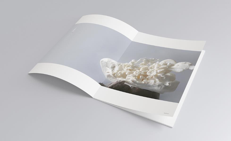 <strong>彩頁印刷</strong>常規(guī)尺寸有哪些？